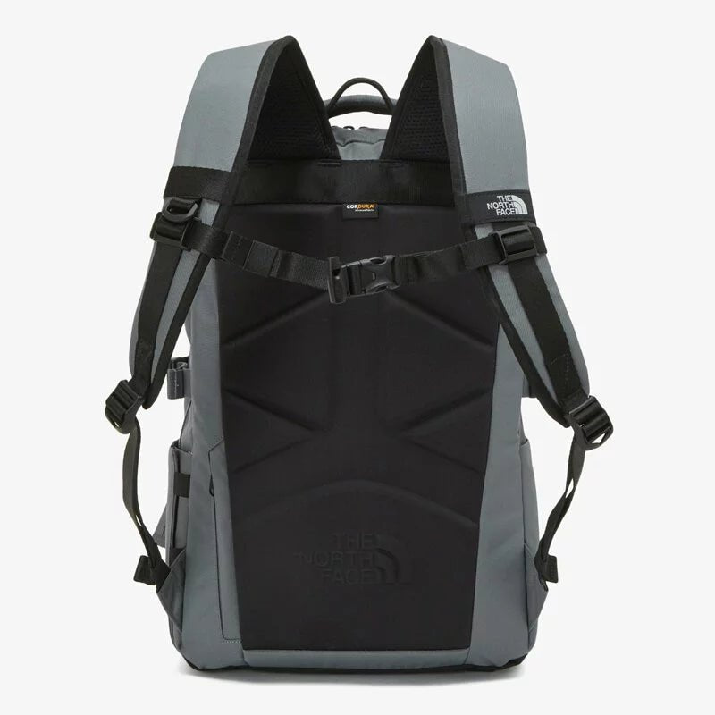 THE NORTH FACE DUAL PRO III Backpack Backpack, BEIGE NB36 - Runner