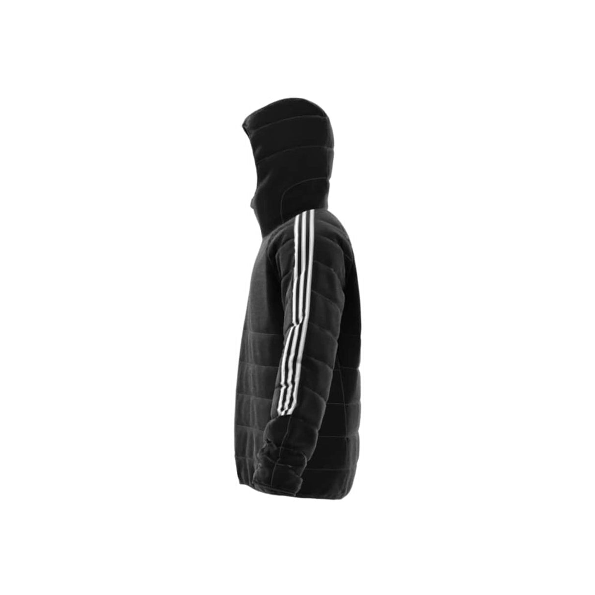 Tiro 24 Winter Jacket - Runner