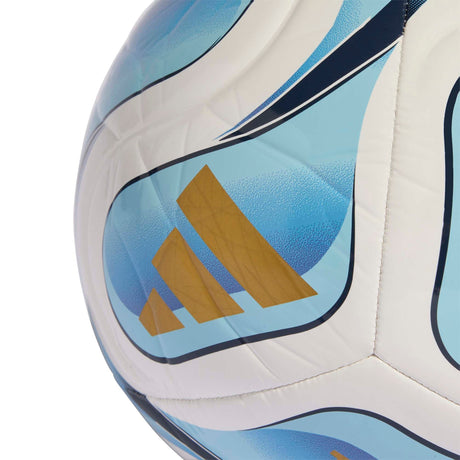 Trionda Argentina Home Club Ball - Runner