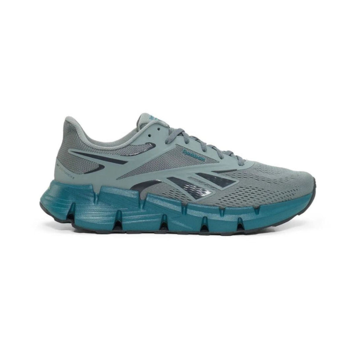 Zig Dynamica 6 Running Shoes - Runner